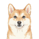 初然忆